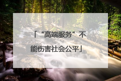 “高端服务”不能伤害社会公平