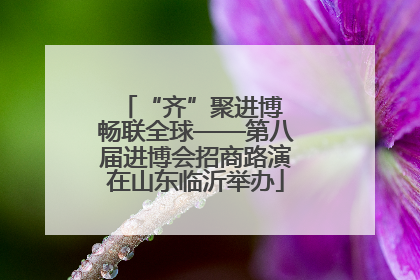 “齐”聚进博 畅联全球——第八届进博会招商路演在山东临沂举办