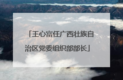 王心富任广西壮族自治区党委组织部部长