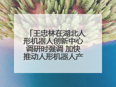 王忠林在湖北人形机器人创新中心调研时强调 加快推动人形机器人产业高质量发展 打造具有全国影响力的研发创新基地