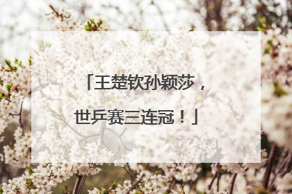 王楚钦孙颖莎，世乒赛三连冠！