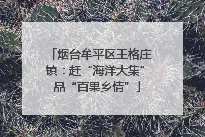 烟台牟平区王格庄镇：赶“海洋大集” 品“百果乡情”