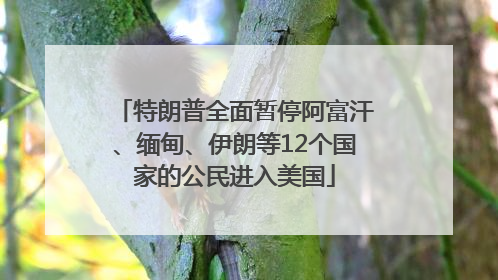 特朗普全面暂停阿富汗、缅甸、伊朗等12个国家的公民进入美国