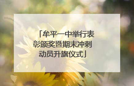 牟平一中举行表彰颁奖暨期末冲刺动员升旗仪式
