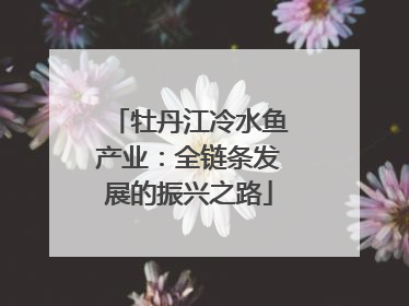 牡丹江冷水鱼产业：全链条发展的振兴之路