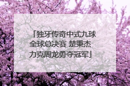 独牙传奇中式九球全球总决赛 楚秉杰力克周龙勇夺冠军