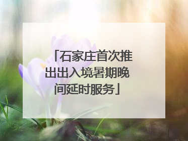 石家庄首次推出出入境暑期晚间延时服务