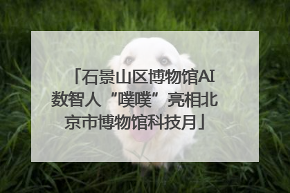 石景山区博物馆AI数智人“噗噗”亮相北京市博物馆科技月