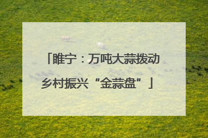睢宁：万吨大蒜拨动乡村振兴“金蒜盘”