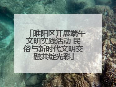 睢阳区开展端午文明实践活动 民俗与新时代文明交融共绽光彩