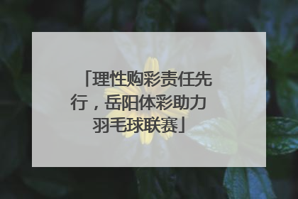 理性购彩责任先行，岳阳体彩助力羽毛球联赛