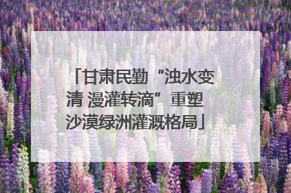 甘肃民勤“浊水变清 漫灌转滴”重塑沙漠绿洲灌溉格局