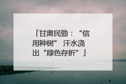 甘肃民勤：“信用种树” 汗水浇出“绿色存折”