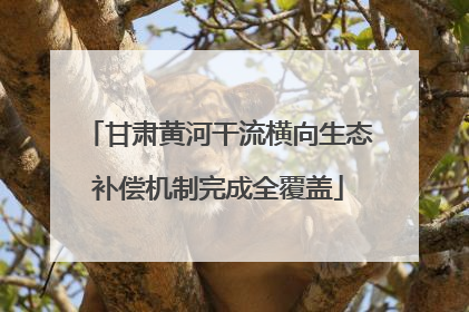 甘肃黄河干流横向生态补偿机制完成全覆盖