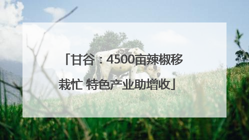 甘谷：4500亩辣椒移栽忙 特色产业助增收