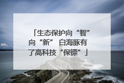 生态保护向“智”向“新” 白海豚有了高科技“保镖”