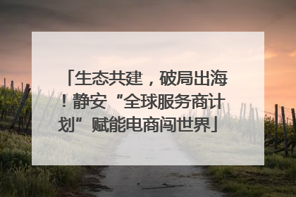 生态共建，破局出海！静安“全球服务商计划”赋能电商闯世界