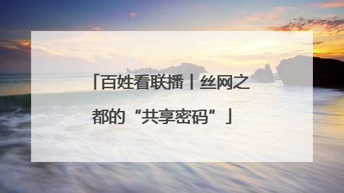 百姓看联播丨丝网之都的“共享密码”