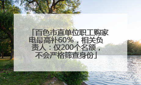 百色市直单位职工购家电最高补60％，相关负责人：仅200个名额，不会严格筛查身份