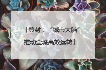 登封：“城市大脑”推动全城高效运转