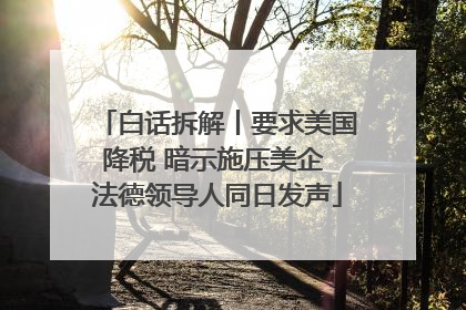 白话拆解丨要求美国降税 暗示施压美企 法德领导人同日发声