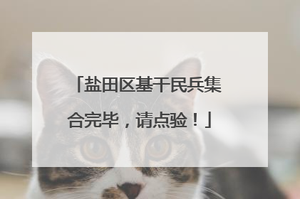 盐田区基干民兵集合完毕，请点验！