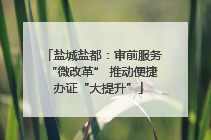 盐城盐都：审前服务“微改革” 推动便捷办证“大提升”