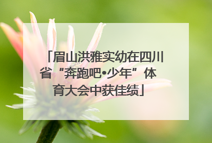 眉山洪雅实幼在四川省“奔跑吧•少年”体育大会中获佳绩