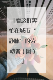 看这群奔忙在城市“静脉”的劳动者（图）