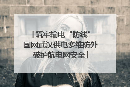 筑牢输电“防线” 国网武汉供电多维防外破护航电网安全