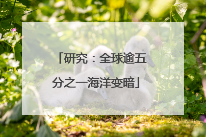 研究：全球逾五分之一海洋变暗
