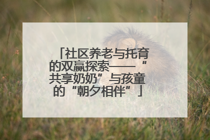 社区养老与托育的双赢探索——“共享奶奶”与孩童的“朝夕相伴”