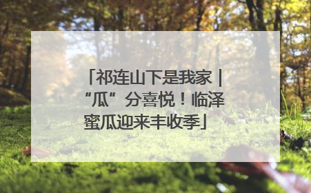 祁连山下是我家｜“瓜”分喜悦！临泽蜜瓜迎来丰收季
