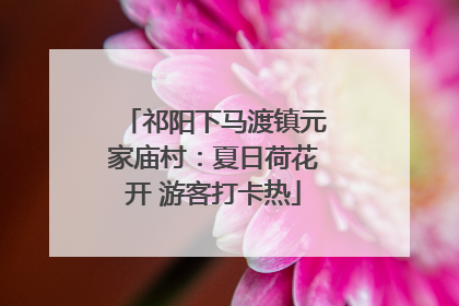 祁阳下马渡镇元家庙村：夏日荷花开 游客打卡热
