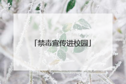 禁毒宣传进校园