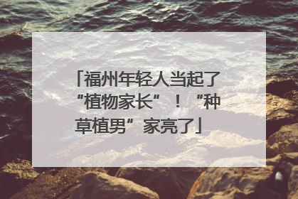 福州年轻人当起了“植物家长”！“种草植男”家亮了