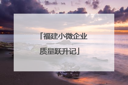 福建小微企业质量跃升记