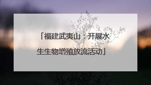 福建武夷山：开展水生生物增殖放流活动