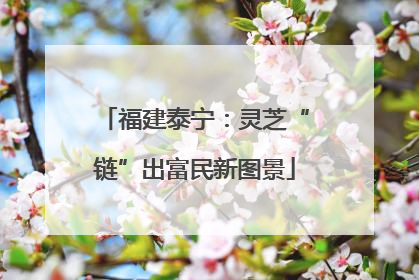 福建泰宁：灵芝“链”出富民新图景