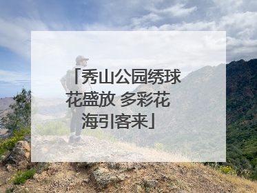 秀山公园绣球花盛放 多彩花海引客来