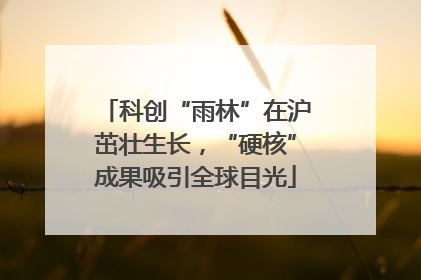 科创“雨林”在沪茁壮生长，“硬核”成果吸引全球目光