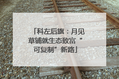 科左后旗：月见草铺就生态致富“可复制”新路
