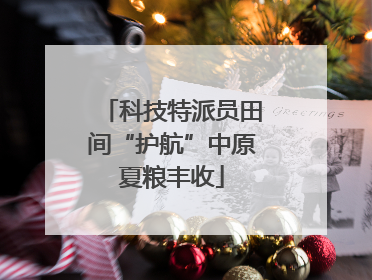 科技特派员田间“护航”中原夏粮丰收
