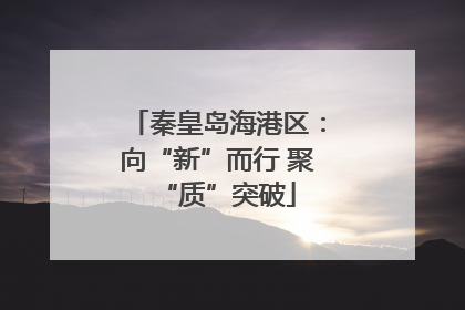 秦皇岛海港区：向“新”而行 聚“质”突破