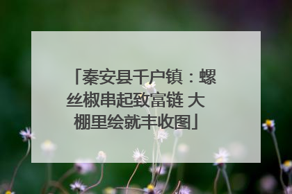 秦安县千户镇：螺丝椒串起致富链 大棚里绘就丰收图