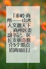秦岭·商州——山水人文邀天下，商州区委副书记、区长支朝奇推介5个重点招商项目
