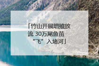 竹山开展增殖放流 30万尾鱼苗“飞”入堵河