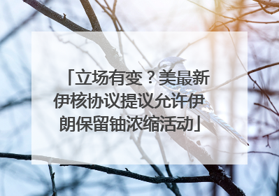 立场有变？美最新伊核协议提议允许伊朗保留铀浓缩活动