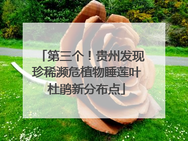 第三个！贵州发现珍稀濒危植物睡莲叶杜鹃新分布点