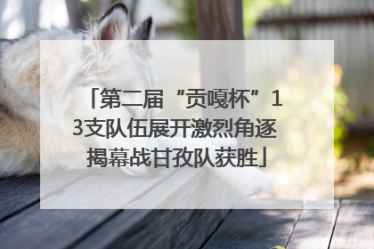 第二届“贡嘎杯”13支队伍展开激烈角逐 揭幕战甘孜队获胜